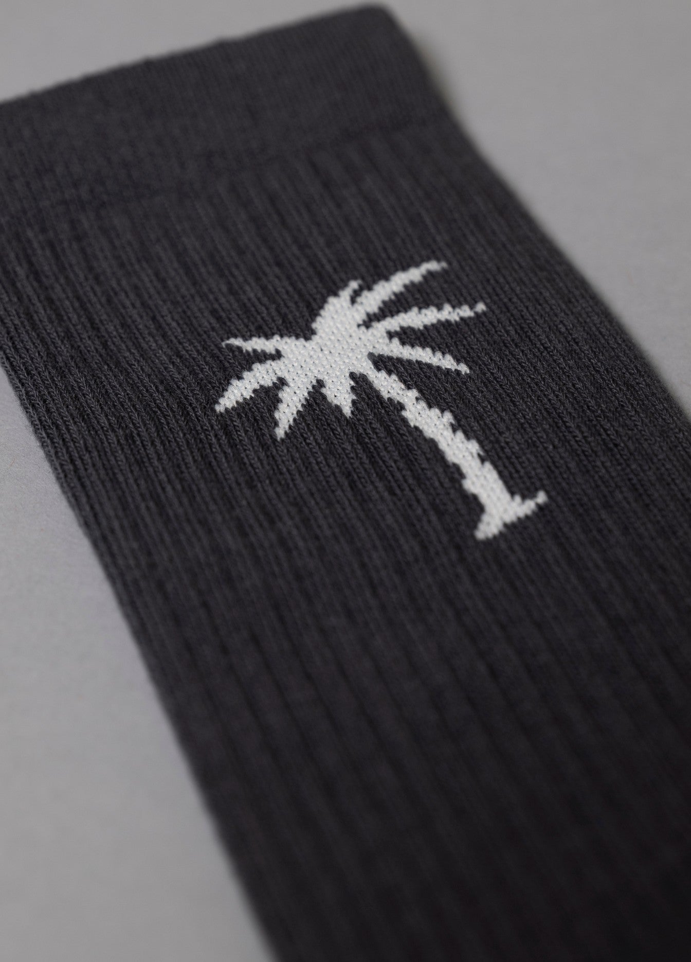 UNEXPLORED PALM SOCKS